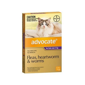 Advocate For Large Cats Over 4kg Advocate
